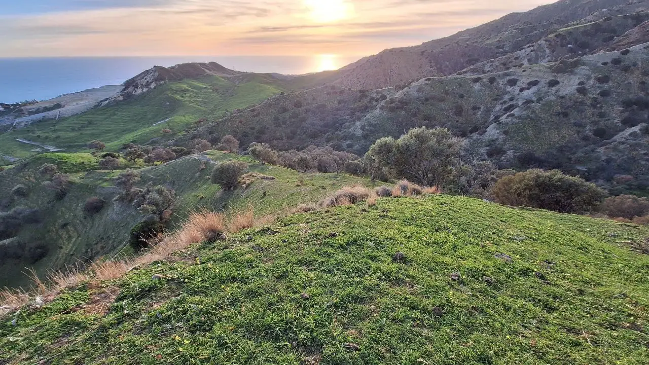 Blick von einem Hügel über die kalabresische Küste — grüne Macchia, das Tyrrhenische Meer im Abendlicht, die Sonne kurz vor Untergang.